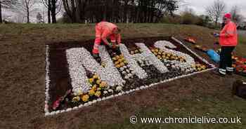 Flower displays on County Durham roundabouts turned into NHS tributes - Chronicle Live