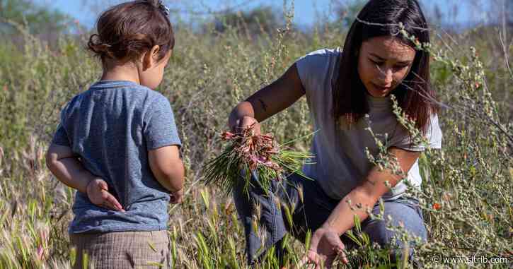 How Native Americans are fighting a food crisis amid the coronavirus pandemic