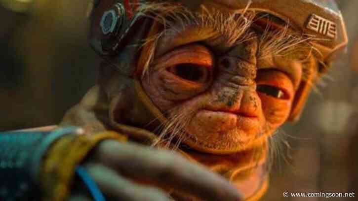 Steven Spielberg May Have Saved Babu Frik’s Life in Rise of Skywalker