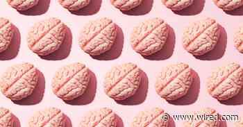 What Does Covid-19 Do to Your Brain?