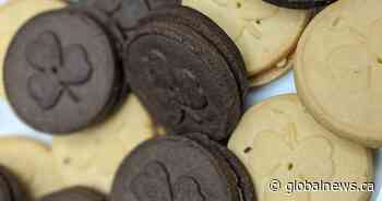 Girl Guides move cookie sales to traditional retailers amid coronavirus pandemic