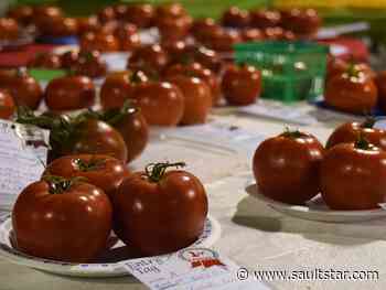 Families get nutritious food