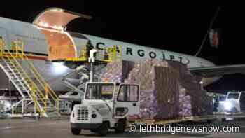 36000 kg of medical supplies arrive in Edmonton from China - Lethbridge News Now