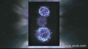 42 positive cases of COVID-19 in Wyoming County