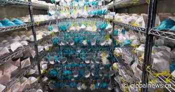 AHS collecting used N95 masks, may sterilize and reuse them