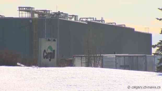 'Our employees are outstanding': Cargill says no one laid off from Alberta facility