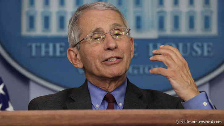 Dr. Anthony Fauci On Baseball Returning This Summer: ‘There’s A Way Of Doing That’