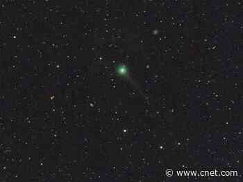 Comet Atlas is crumbling, but another is already brightening skywatchers' nights     - CNET