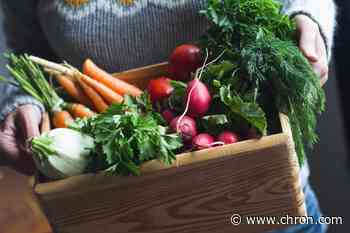 Best fruits and vegetables to plant in Houston for a bountiful garden - Chron