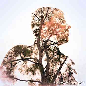 Artfeel: Local artist examines nature, humanity in “Tree Man” work
