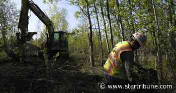 U.S. Forest Service denies Minnesota request for unreleased research on copper mining impacts