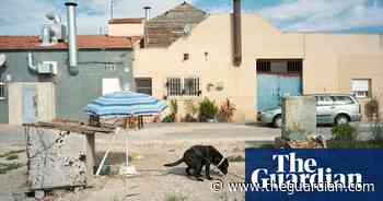 Sunbathing by the cement factory: Spain's strangest hotspots – in pictures
