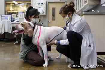 Government nears lending limit on small business program