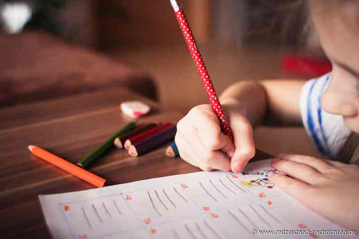 Homeschooling-Umfrage
