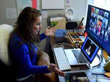 Zoom-bombing disrupted a House Oversight Committee meeting