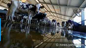 Agriculture secretary: Trump administration aims to buy milk, meat to help farmers hit by coronavirus