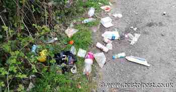 Bishopsworth woman cleared litter left dumped on road where she lives