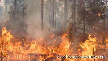 Alberta announces several enforceable actions to prevent spring wildfires - Lethbridge News Now