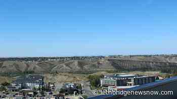 Supporting your neighbours during a pandemic - Lethbridge News Now