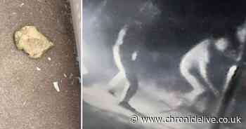 CCTV released after thugs mash terrified pensioner's window showering with glass