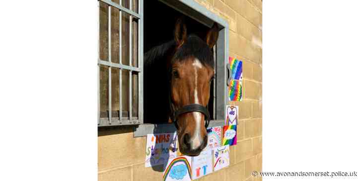 Avon and Somerset Police horse to be officially named ‘Hero’  in lasting tribute to NHS workers
