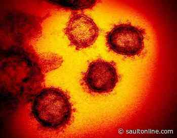 Ontario Reports 514 New COVID-19 Cases