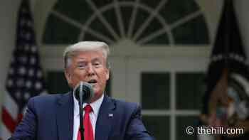 Medical journal editor: Trump cutting WHO funding 'a crime against humanity' | TheHill - The Hill
