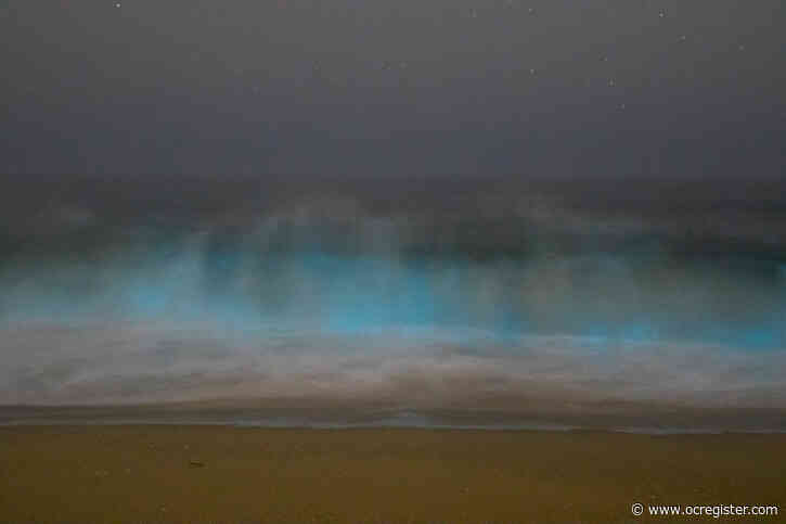Rare neon blue waves, called “bioluminescence,” captured on camera in ...