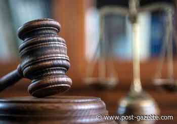 Lawsuits allege abuse, name diocese and Holy Family Institute