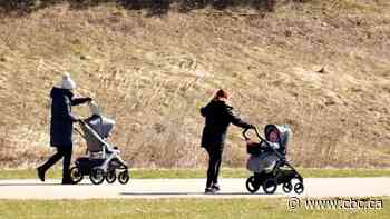 Sask. professor warns against crossing the line with social media shaming