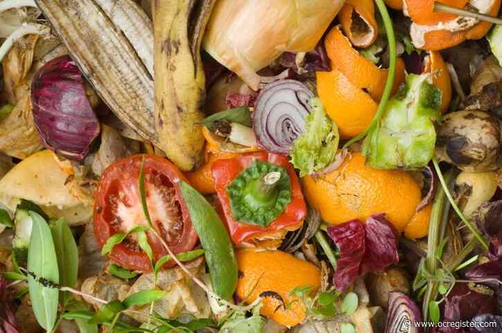 Master Gardener: How to compost with worms