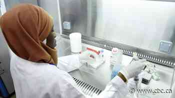 Science summary: A look at novel coronavirus research around the globe