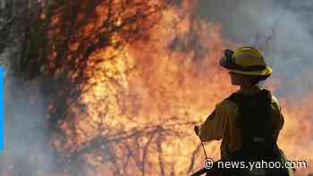 Trump administration halts wildfire prevention tool in California, Oregon and Washington over coronavirus