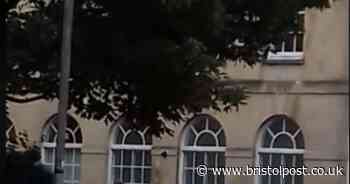 Armed police descend on street after reports of man with a gun