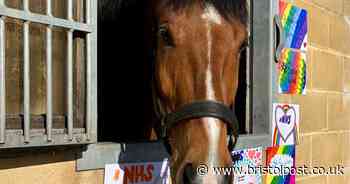 Avon and Somerset police horse to be named Hero in honour of NHS workers