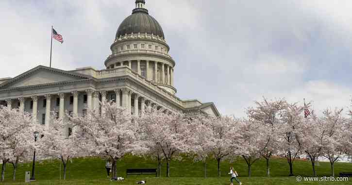 Behind the Headlines: Reporters discuss unemployment, a historic special session, and coronavirus case estimates