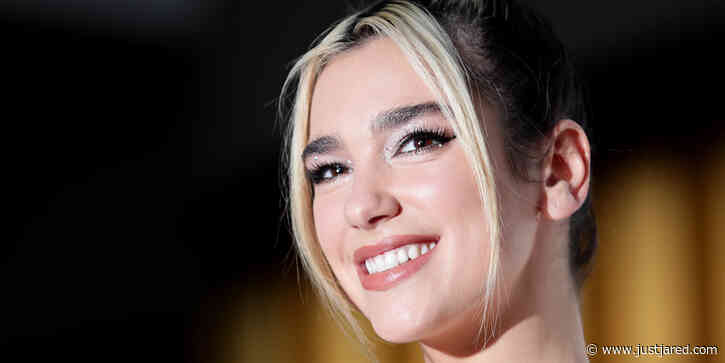 Dua Lipa Debuts Pink Hair While in Quarantine - See Her New Look!