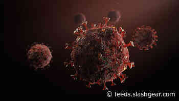 MIT coronavirus model gets blunt: ‘Disaster’ if quarantine relaxed