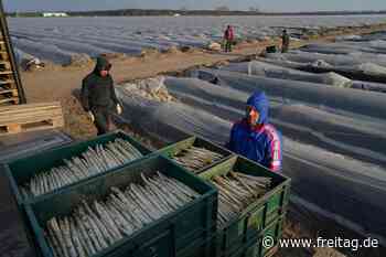 Leopoldina ǀ Lockerungsübung für die Wirtschaft - Freitag - Das Meinungsmedium