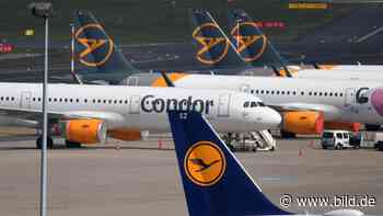 Condor: Verkauf des Ferienfliegers an polnische LOT geplatzt - BILD