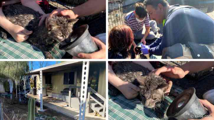 Tucson Fire extinguishes southside trailer fire, evacuates residents, kittens