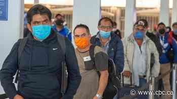 Advocacy group says undocumented migrants need access to government benefits