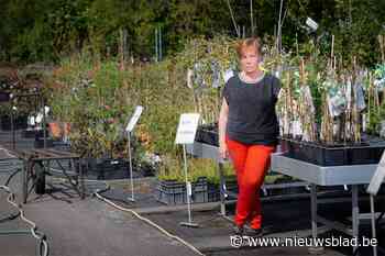 Niet alle zaken even enthousiast over heropening: “Ik mag mijn moeder niet bezoeken, maar een oudere klant mag ik straks wel helpen”