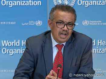 Trump said the WHO played a role in 'covering up the spread of the coronavirus.' Here's what really happened.