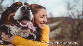 How to care for your pets during the coronavirus pandemic