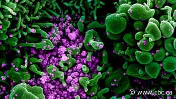 2nd health-care worker dies in Ontario after contracting COVID-19