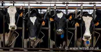 Coronavirus broke the global food supply chain. It may never recover