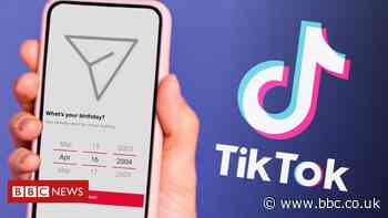 TikTok bans under-16s from private messaging