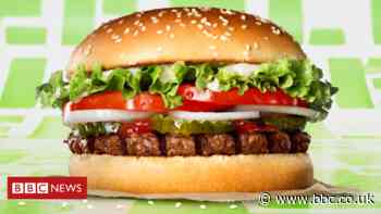 Burger King 'plant-based' Whopper tweets banned