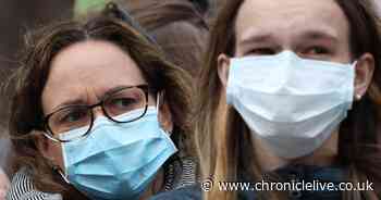 Drug dealers now selling face masks on dark web amid coronavirus pandemic